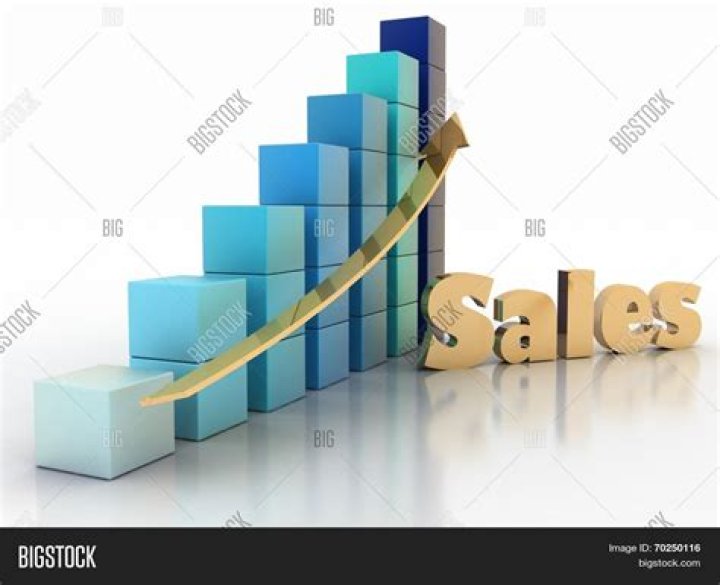 Country Music Has Strong Year In 2004 With Double Digit Sales Increase Over 2003