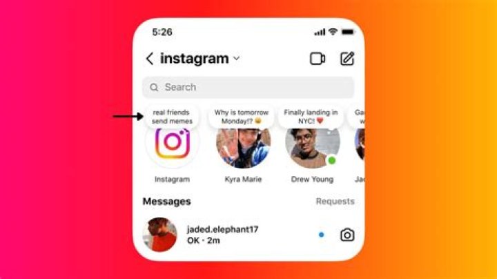 Meet Them On Instagram And Learn More About Them!