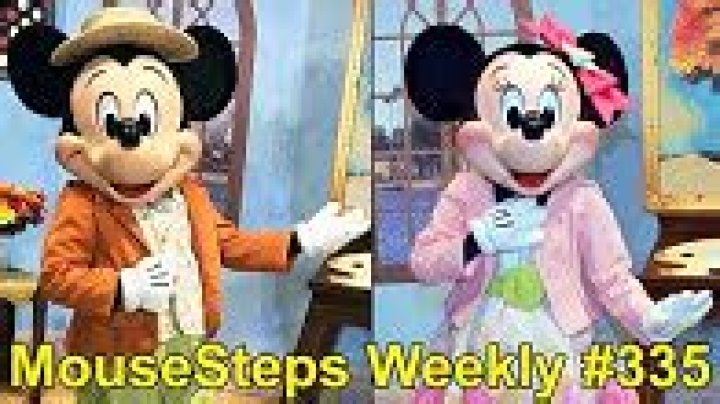 MouseSteps / JWL Media Youtuber overview