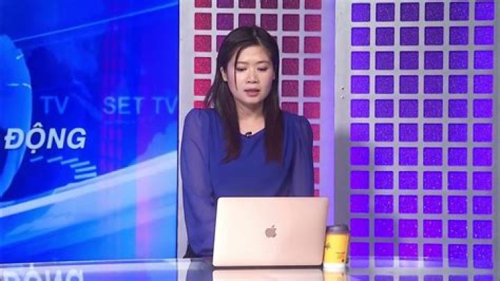 Saigon Entertainment Television Youtuber overview