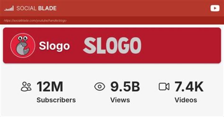 Slogo video statistics