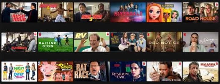 The Netflix Shows That No One Seemed to Care About This Year