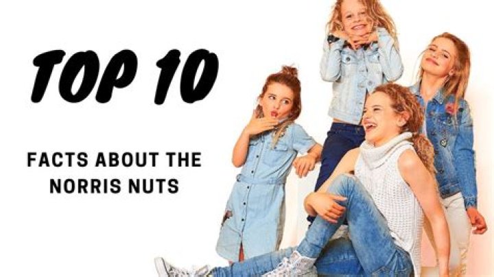 The Norris Nuts video statistics